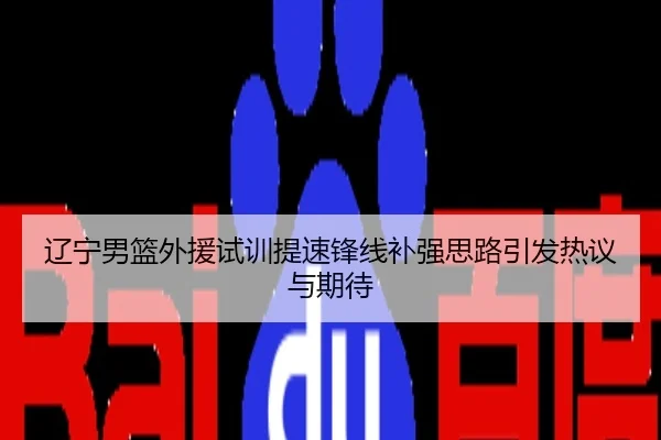 辽宁男篮外援试训提速锋线补强思路引发热议与期待