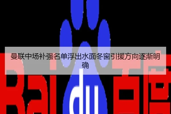 曼联中场补强名单浮出水面冬窗引援方向逐渐明确