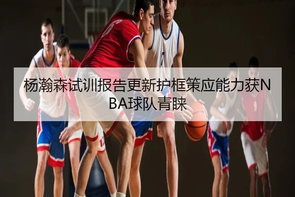 杨瀚森试训报告更新护框策应能力获NBA球队青睐